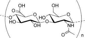 Hyaluronic Acid